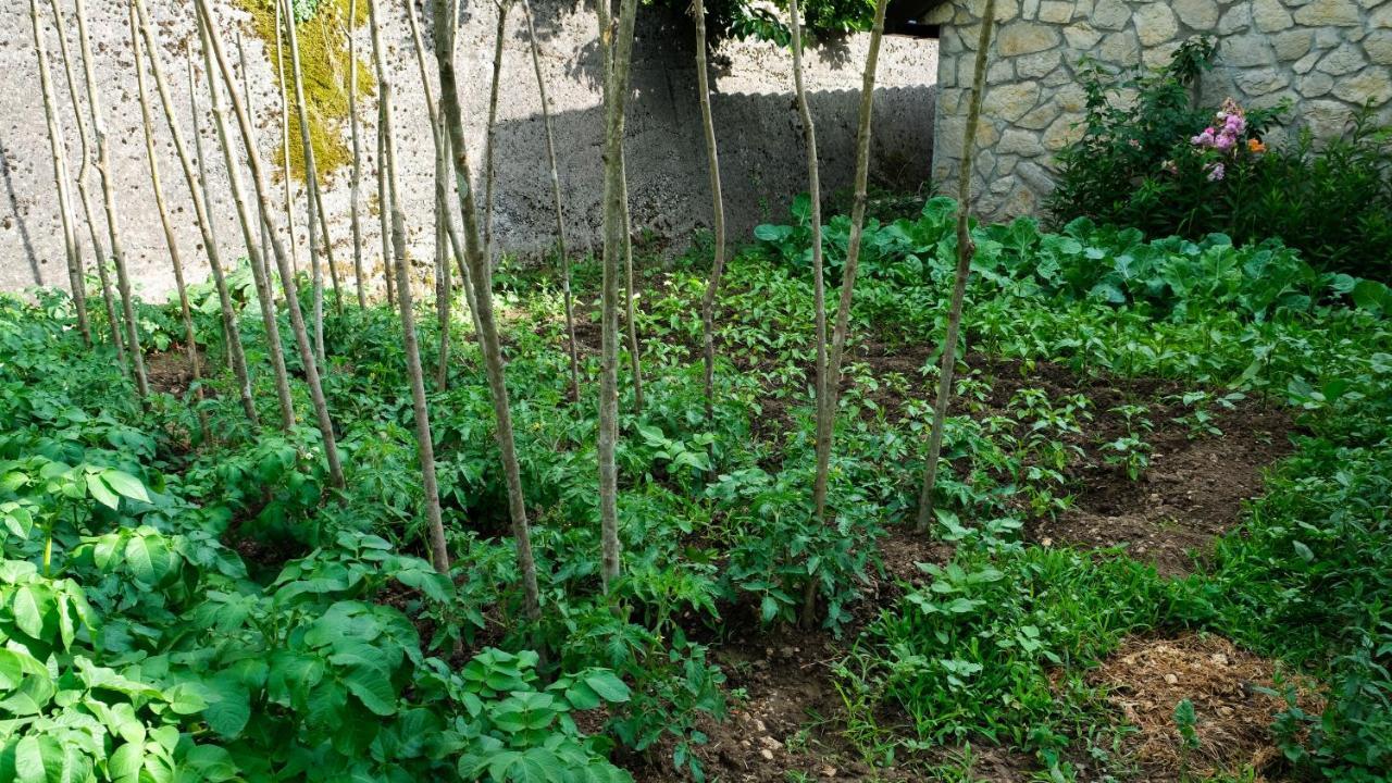 Prevalis Nature Cottage เวียร์ปาซาร์ ภายนอก รูปภาพ